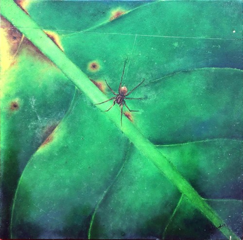 The Texture Of Life