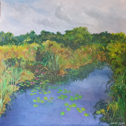 Waterlilies In The Wetlands