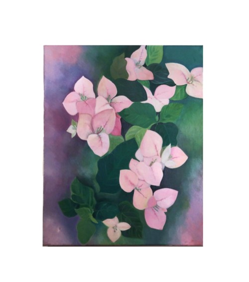 Blossoming Bougainvillea