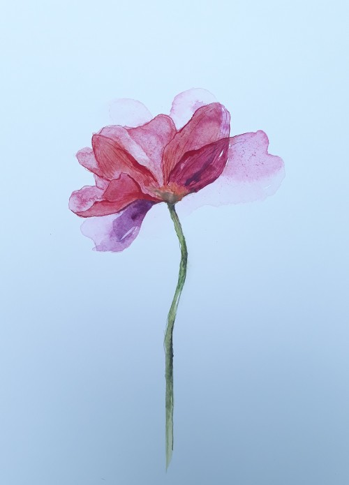 The Flower