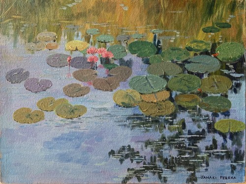Lotus Pond, Sri Lanka