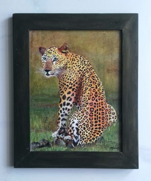 Leopard