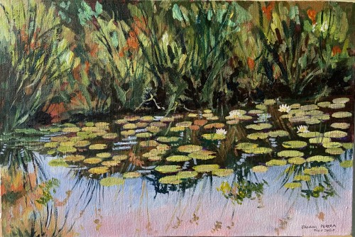 Lotus Pond, Sri Lanka