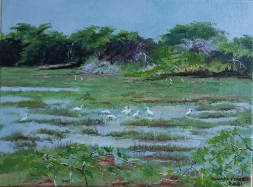 Urban Wetlands