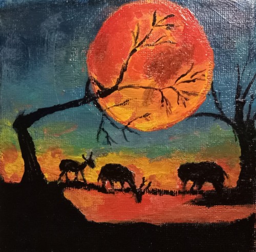 Sun Set & Animals Drinking Water
