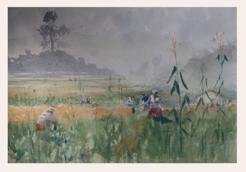 The Corn Field