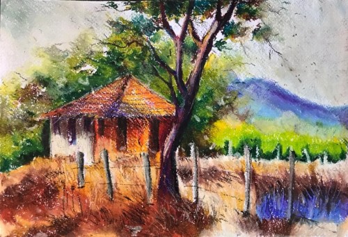 Village & Life