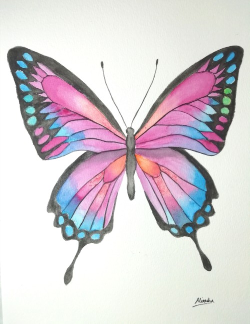 Butterfly