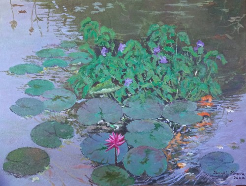 Water Lily