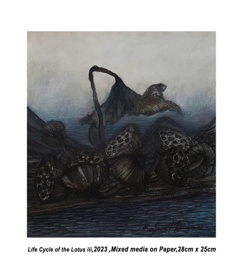 Life Cycle Of The Lotus Iii