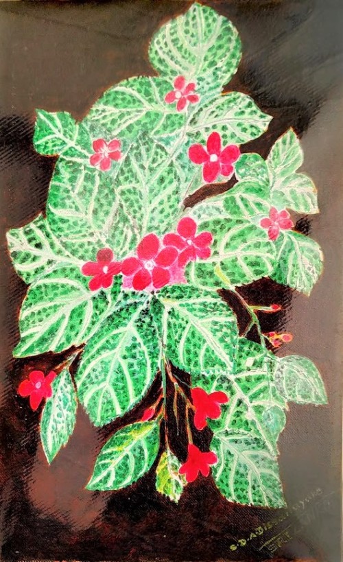 Flowers Blooming
