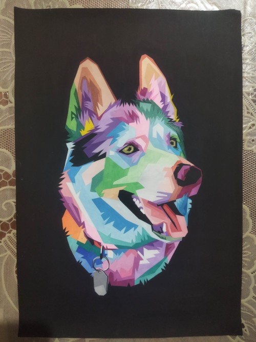 Husky Dog