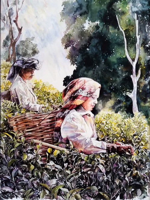 Women Picking Tea Leaves