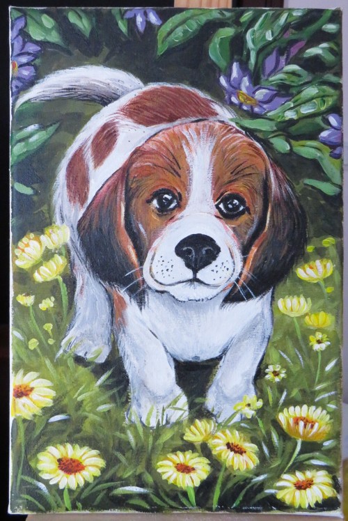 Puppy