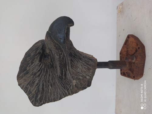 Eagle Head