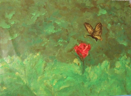 Butter Fly