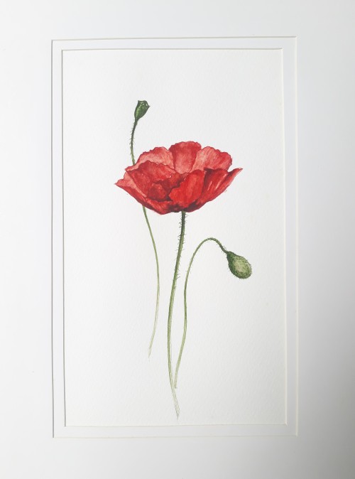 The Red Flower