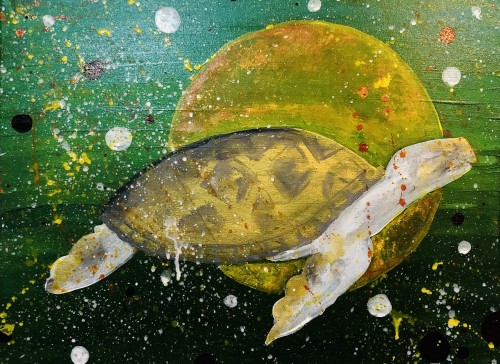 Space Turttle