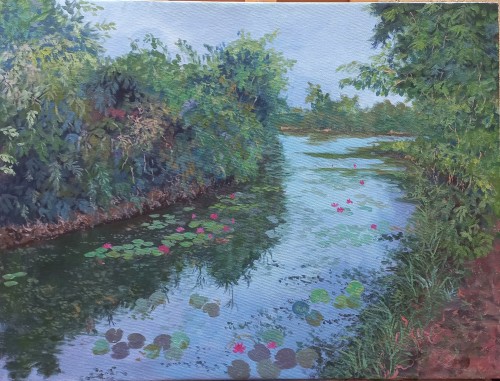My Srilanka , The Wetlands