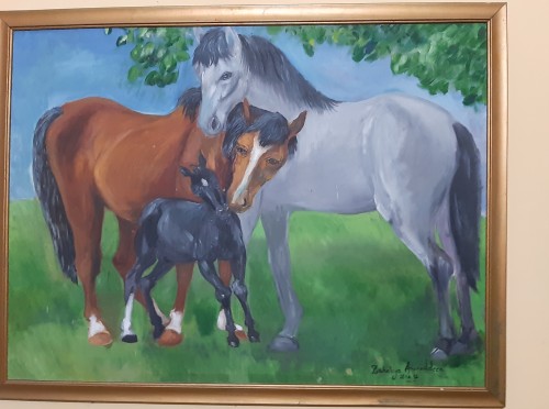 Together With Black Beauty