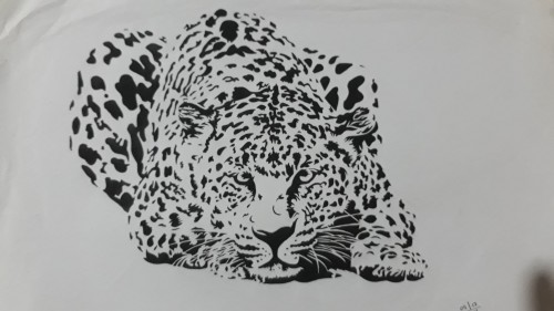 Pop Art