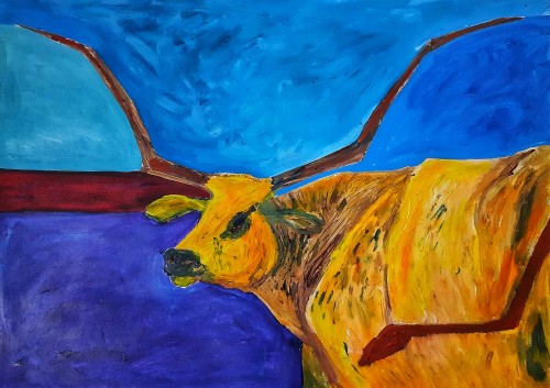 Playful Bull