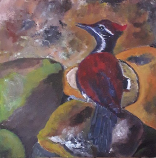 Woodpecker - Godagama, Sri Lanka