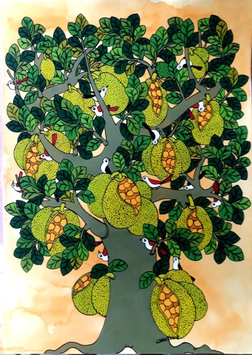 Jack-Fruit Tree
