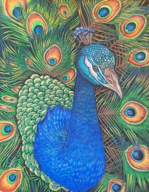 Fluff Up Your Feathers