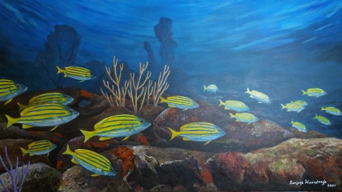 Coral Reef