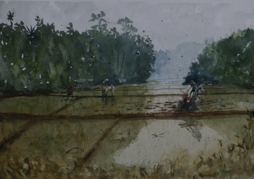 Mud Water Food
