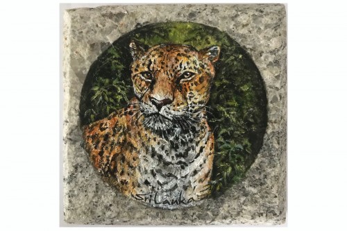Tiger (Wildlife- Sri Lanka)