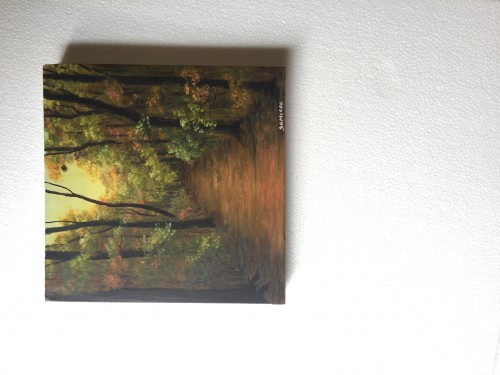 Mini Sceneries
