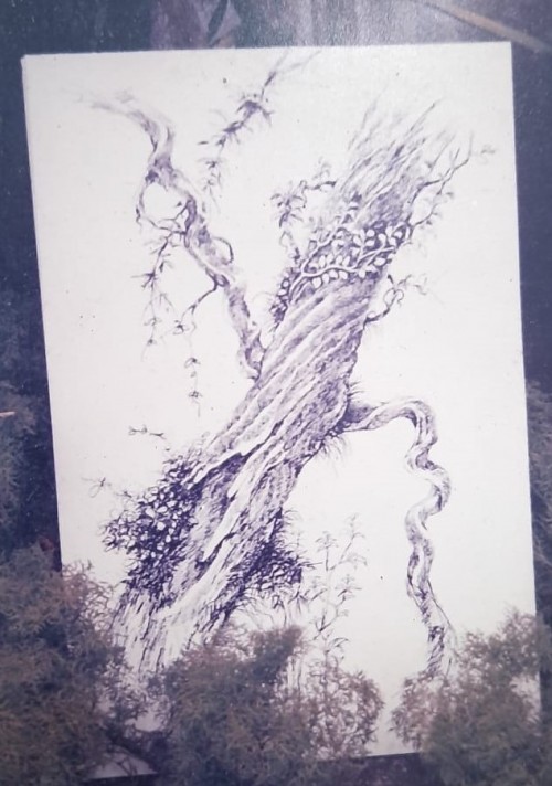 Roots