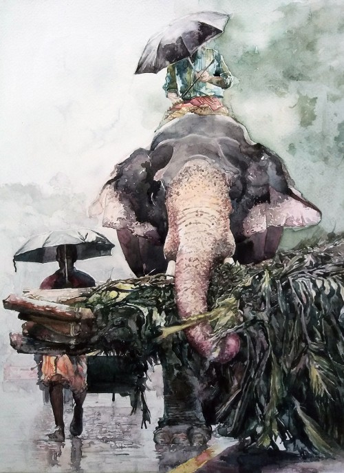 The Elephant