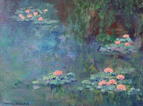 Lotus Pond, Sri Lanka