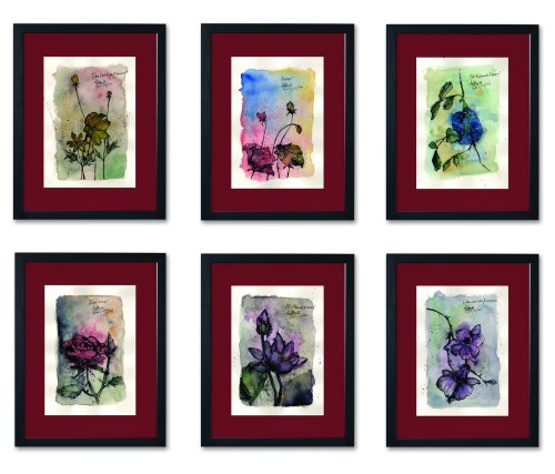 Flower Collection