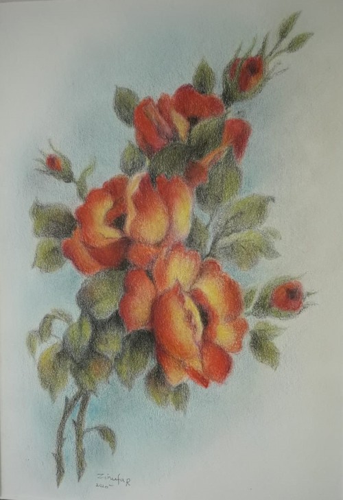 Wild Roses