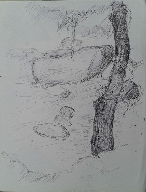 My Sketch Book