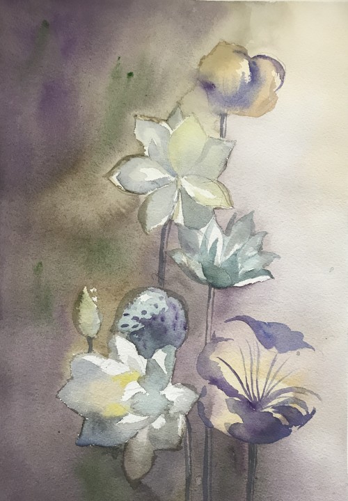 Lotus In The Sunlight
