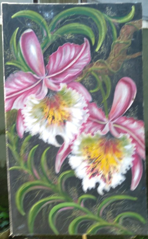 Orchid Flowers