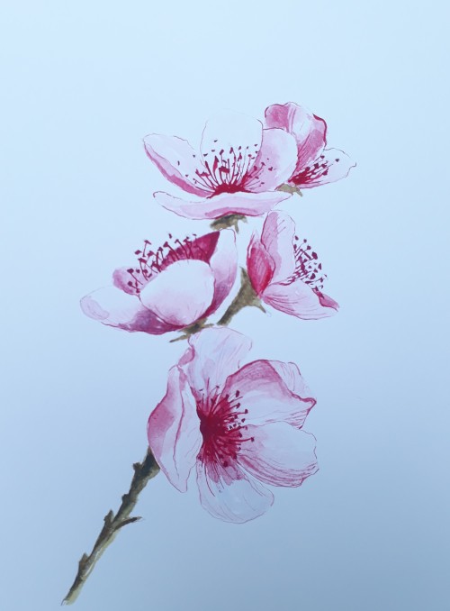The Flower