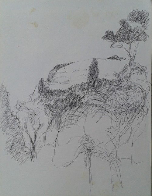 My Sketch Book