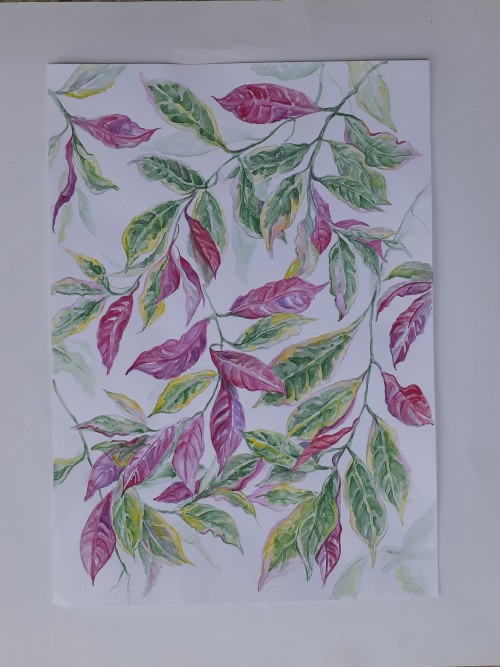 Pink Leaves