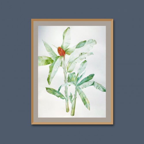 Tropical Flora I