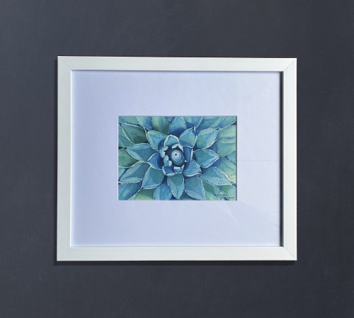 Rhythm Of Nature-Succulent Plant