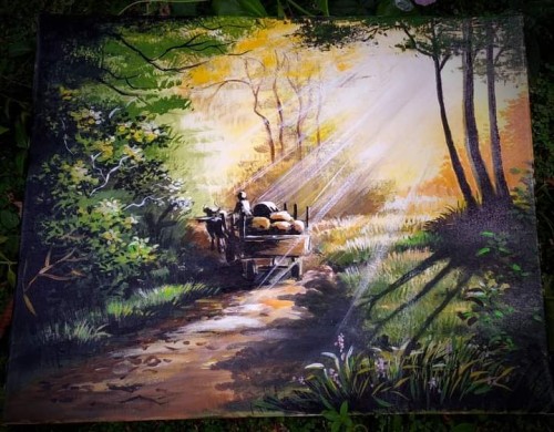 The Sunrise In Forest Road