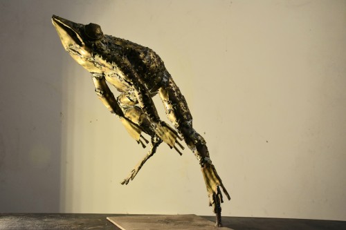 Frog