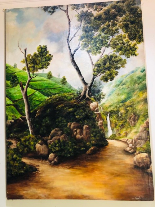 Tea Estate