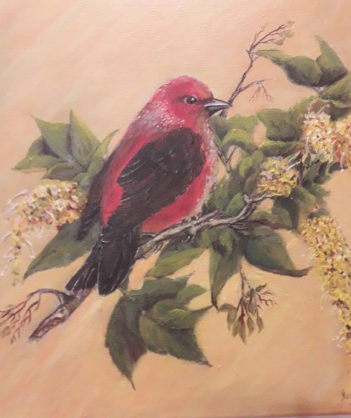 Feathered Friends